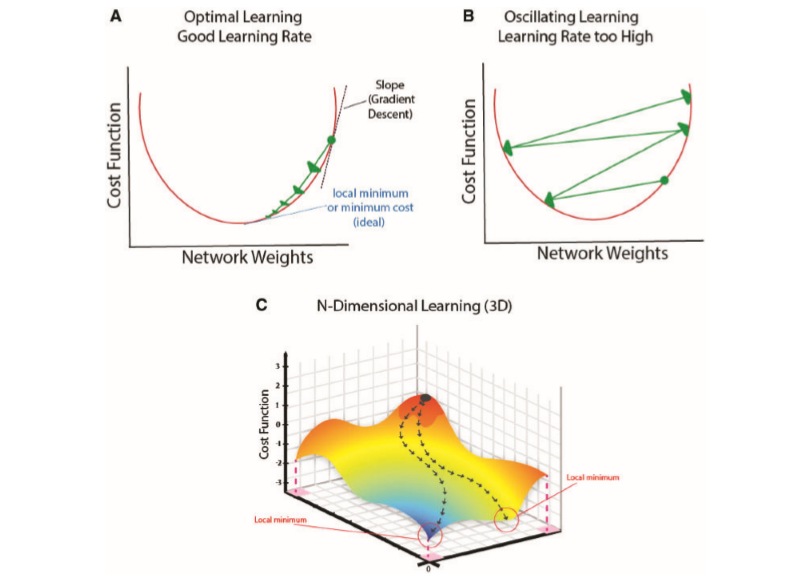 Implications of the Vanishing Gradient Problem