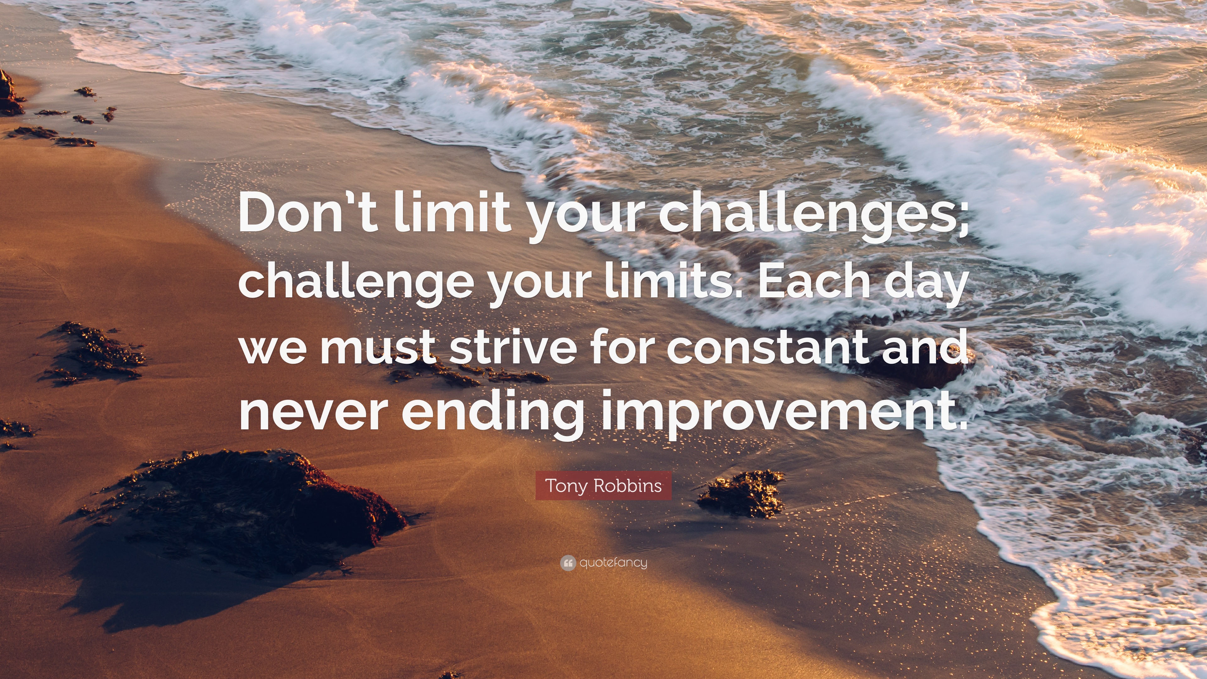 Limitations and Challenges