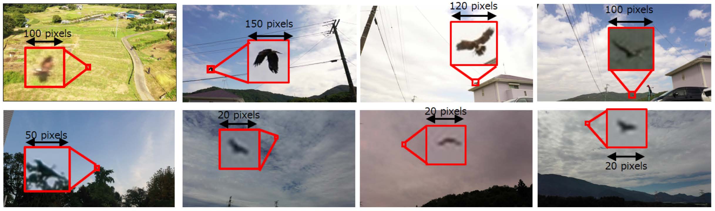 Challenges in Bird Detection