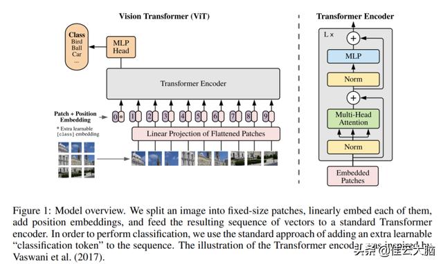 How Is Transformer Different From Cnn?
