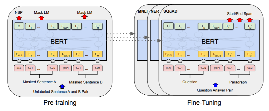 Is Bert Available In Pytorch?