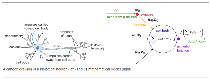What Is The Activation Of A Neural Network?