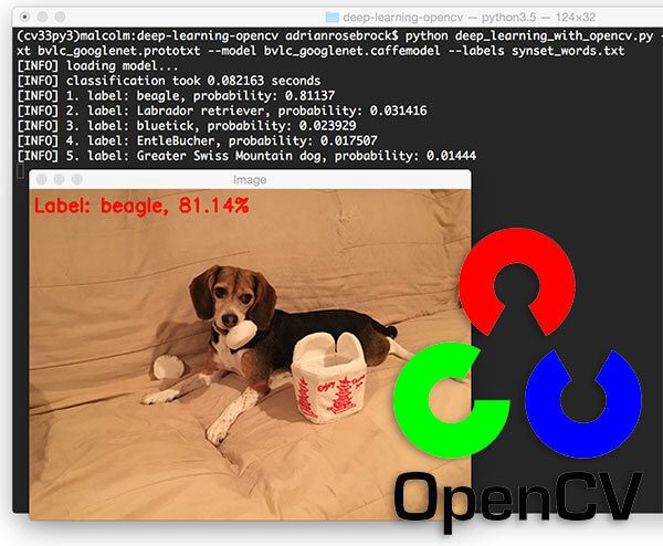 Deep Learning Models in OpenCV
