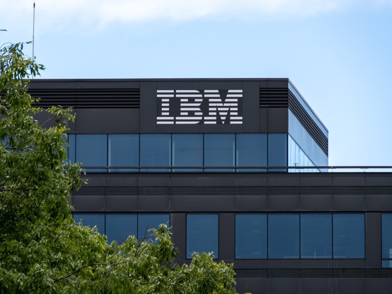 Company 5: IBM
